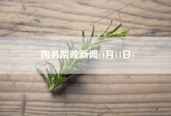 国务院晚新闻(4月11日)
