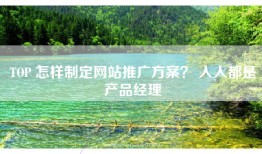 TOP 怎样制定网站推广方案？ 人人都是产品经理