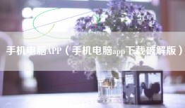 手机电脑APP（手机电脑app下载破解版）