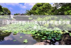 5.2英寸的手机（5.2英寸的手机是多少厘米）