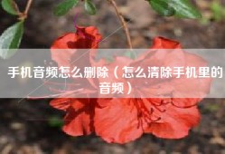 手机音频怎么删除（怎么清除手机里的音频）