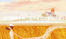 指纹解锁手机（超声波指纹解锁手机）