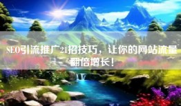 SEO引流推广21招技巧，让你的网站流量翻倍增长！