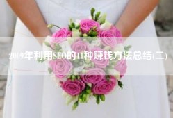 2009年利用SEO的11种赚钱方法总结(二)