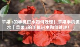 苹果 6的手机进水如何处理！苹果手机进水「苹果 6的手机进水如何处理！」