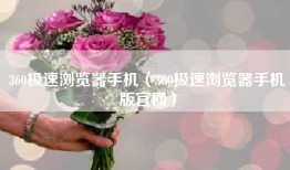 360极速浏览器手机（360极速浏览器手机版官网）