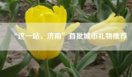 “这一站，济南”首批城市礼物推荐