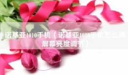 诺基亚1010手机（诺基亚1010手机怎么调屏幕亮度调节）