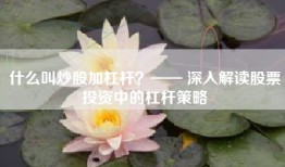 什么叫炒股加杠杆？—— 深入解读股票投资中的杠杆策略
