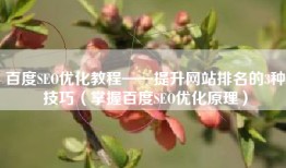 百度SEO优化教程——提升网站排名的3种技巧（掌握百度SEO优化原理）
