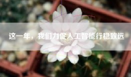 这一年，我们力促人工智能行稳致远