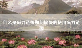 什么是磁力链接如何愉快的使用磁力链接