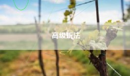 高级玩法