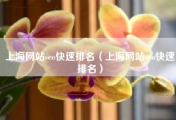 上海网站seo快速排名（上海网站seo快速排名）