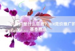 sem竞价推广是什么意思？SEM竞价推广的基本概念
