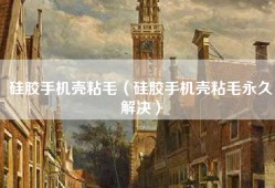 硅胶手机壳粘毛（硅胶手机壳粘毛永久解决）