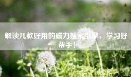 解读几款好用的磁力搜索引擎，学习好帮手！
