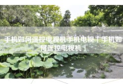手机如何遥控电视机手机电视「手机如何遥控电视机」