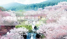 小米王腾揭秘12月新品：REDMI Turbo 4或将引领潮流