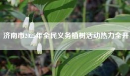 济南市2025年全民义务植树活动热力全开