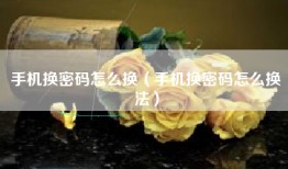 手机换密码怎么换（手机换密码怎么换法）