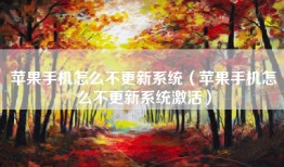 苹果手机怎么不更新系统（苹果手机怎么不更新系统激活）