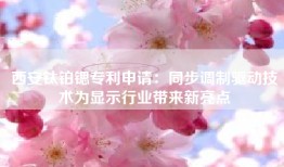 西安钛铂锶专利申请：同步调制驱动技术为显示行业带来新亮点