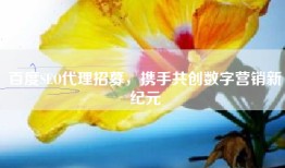 百度SEO代理招募，携手共创数字营销新纪元