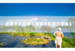 黑莓手机被锁（黑莓手机锁屏壁纸）
