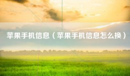 苹果手机信息（苹果手机信息怎么换）