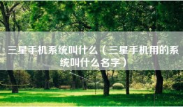 三星手机系统叫什么（三星手机用的系统叫什么名字）