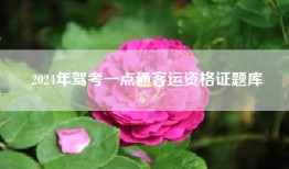 2024年驾考一点通客运资格证题库