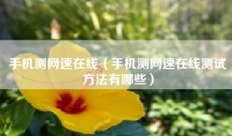 手机测网速在线（手机测网速在线测试方法有哪些）