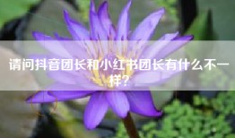 请问抖音团长和小红书团长有什么不一样？