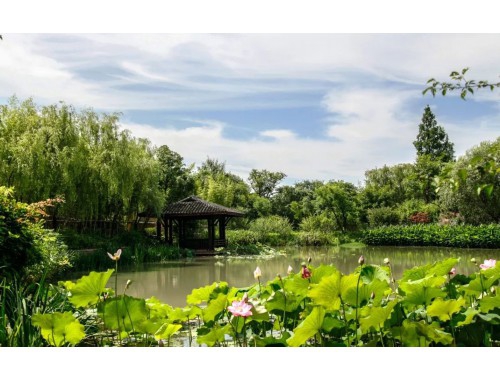 小红书外链跳转：分享健康美食和生活小窍门