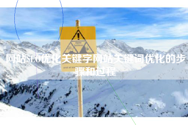 网站SEO优化关键字网站关键词优化的步骤和过程
