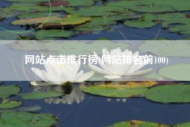 网站点击排行榜(网站排名前100)