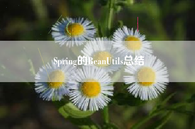 Spring的BeanUtils总结