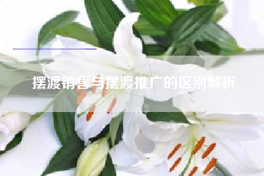 摆渡销售与摆渡推广的区别解析