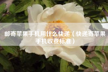邮寄苹果手机用什么快递（快递寄苹果手机收费标准）