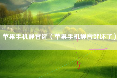 苹果手机静音键（苹果手机静音键坏了）
