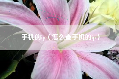 手机的ip（怎么查手机的ip）