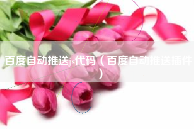 百度自动推送js代码（百度自动推送插件）