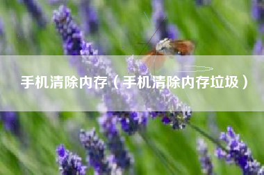 手机清除内存（手机清除内存垃圾）