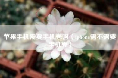 苹果手机需要手机壳吗（iphone需不需要手机壳）
