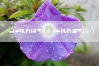 oled手机有哪些（oled手机有哪些2020）