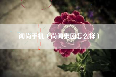 闻尚手机（尚闻集团怎么样）