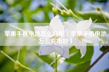 苹果手机电池怎么充电（苹果手机电池怎么充电好）