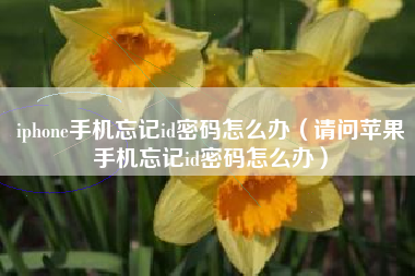 iphone手机忘记id密码怎么办（请问苹果手机忘记id密码怎么办）