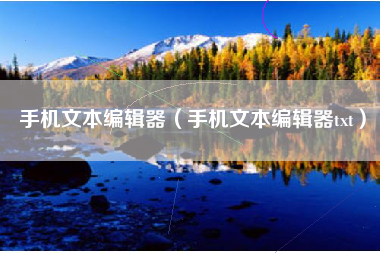 手机文本编辑器（手机文本编辑器txt）